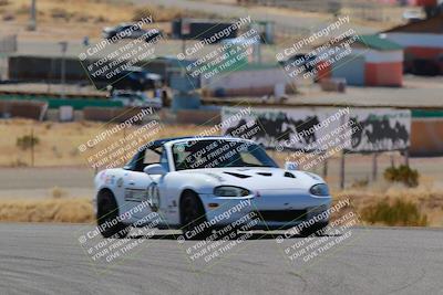 media/Mar-08-2025-Extreme Speed (Sat) [[4abb97269e]]/Purple/Turns 2  and  4 (Session 2)/